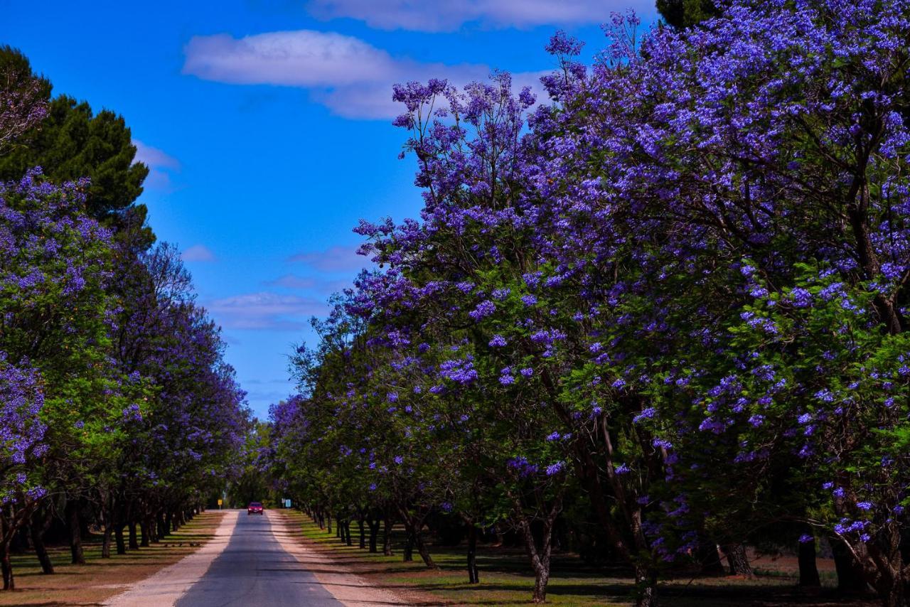 Renmark Country Club Esterno foto