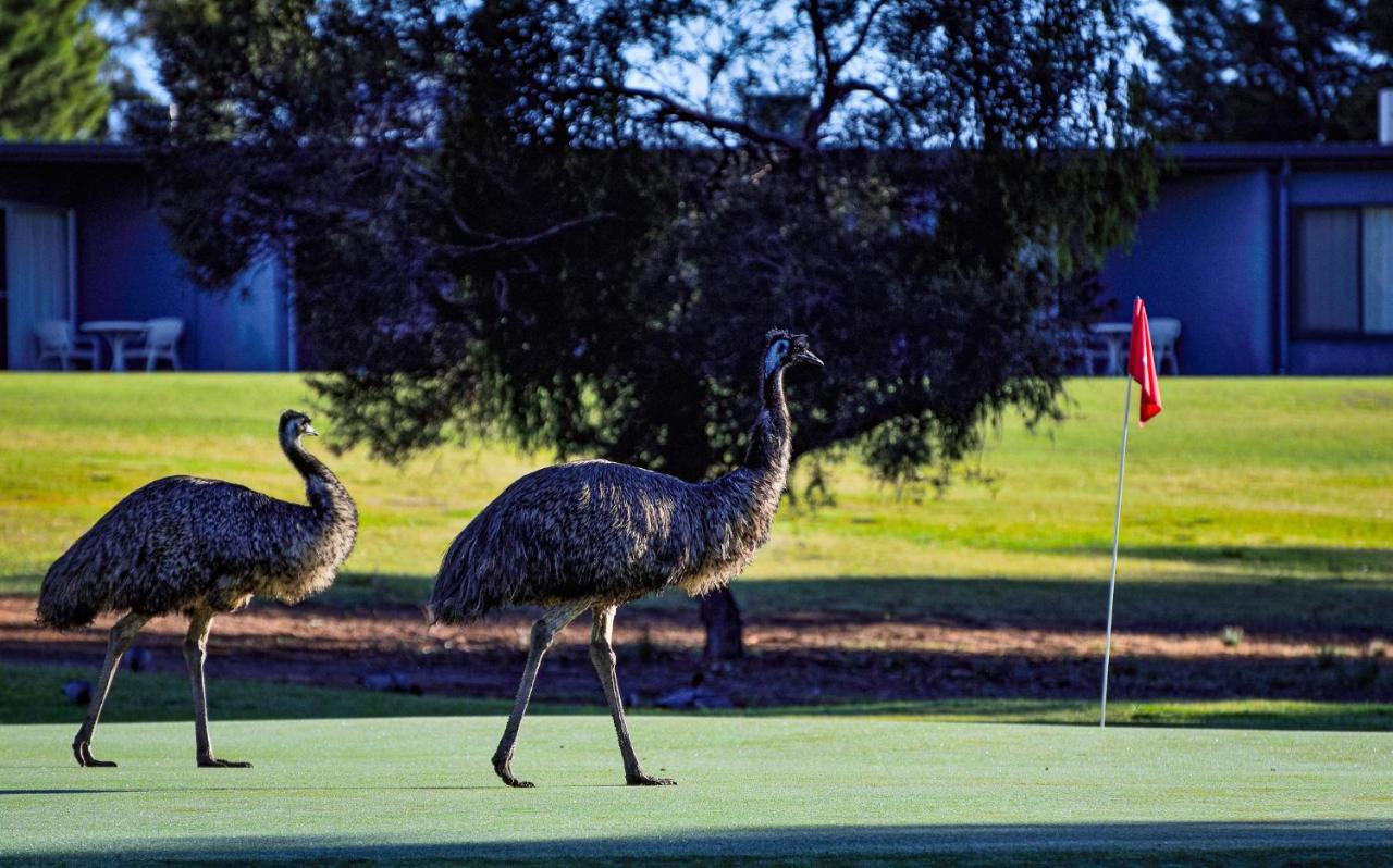 Renmark Country Club Esterno foto